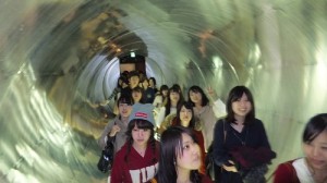 DSCF9558